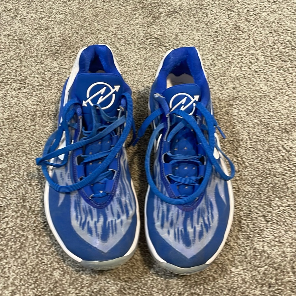 Nike Zoom Freak Giannis Basketball Shoe